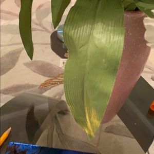 Meet your Posher, Md